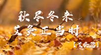 【健康/艾灸】秋盡冬來(lái)，艾灸正當(dāng)時(shí)——解鎖季節(jié)交替的養(yǎng)生密碼！
